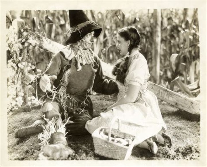 What did the Scarecrow and Dorothy to eat?