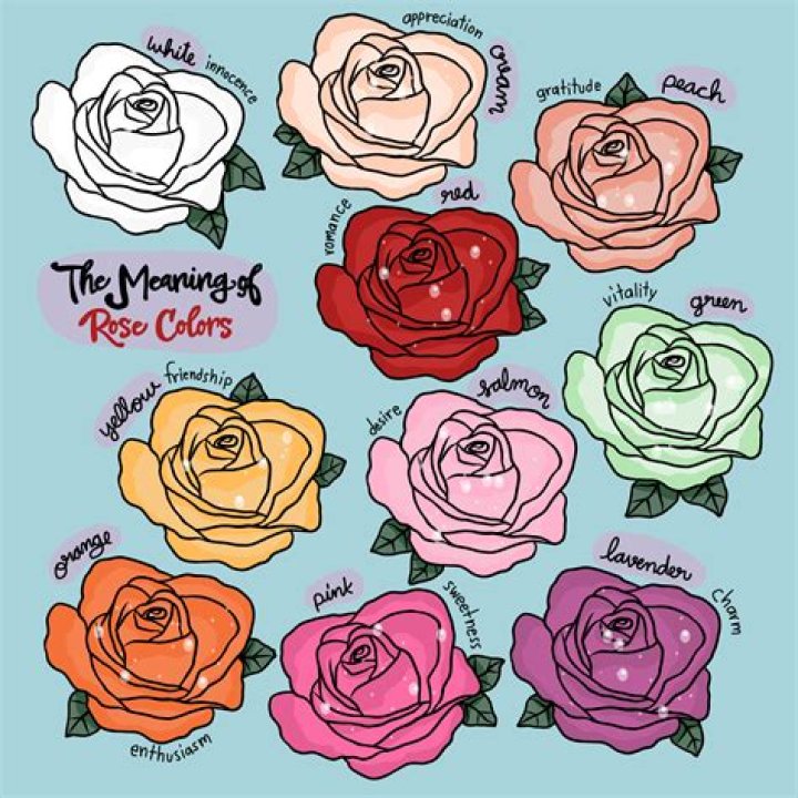 What do 18 roses mean?