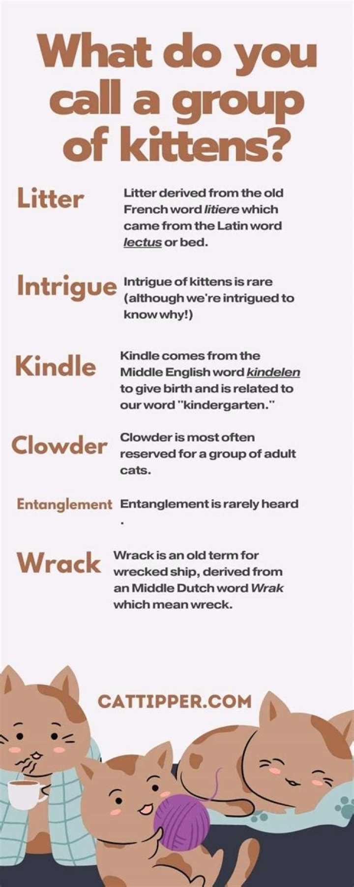 What do you call a group of words with its own subject and verb and can either stand by itself or depend on other parts?