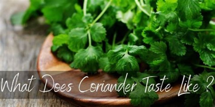 What does coriander taste like?