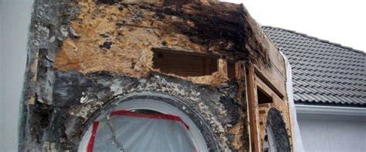 What does early water damage look like?