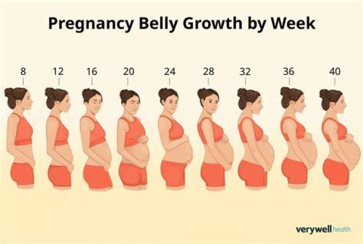 What gets bigger when pregnant?