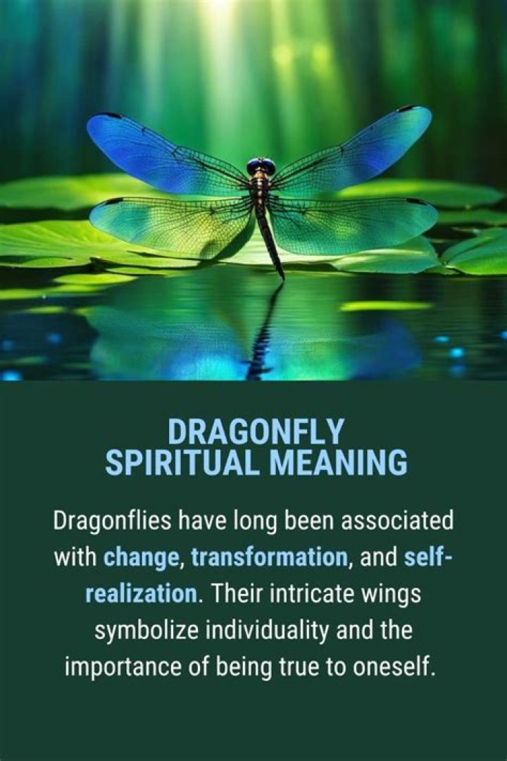 What goddess is associated with dragonflies?