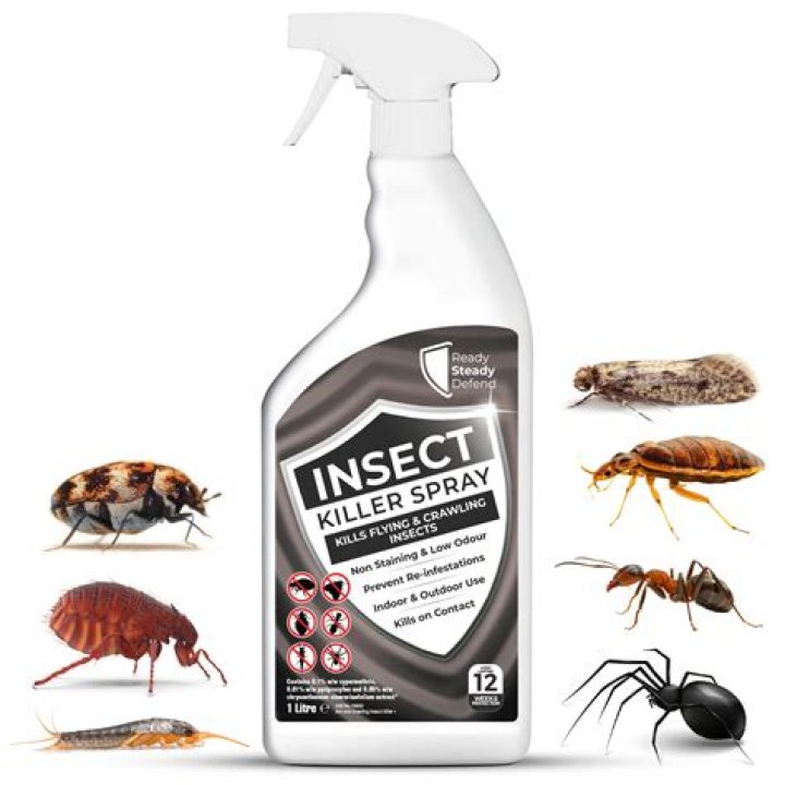 What household product kills spiders?
