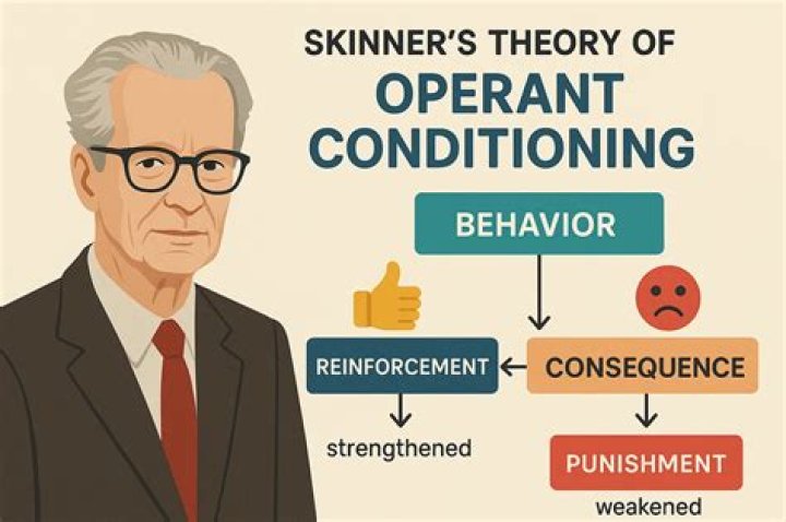 What is an example of Skinner's operant conditioning?
