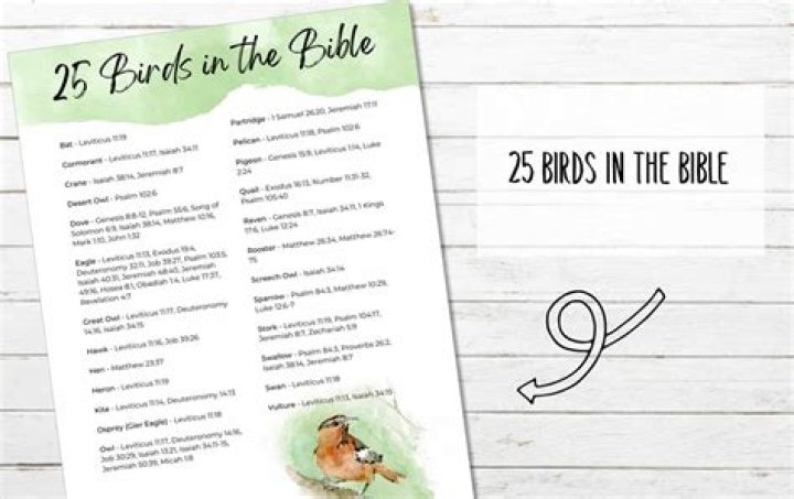 What is birds in the Bible?