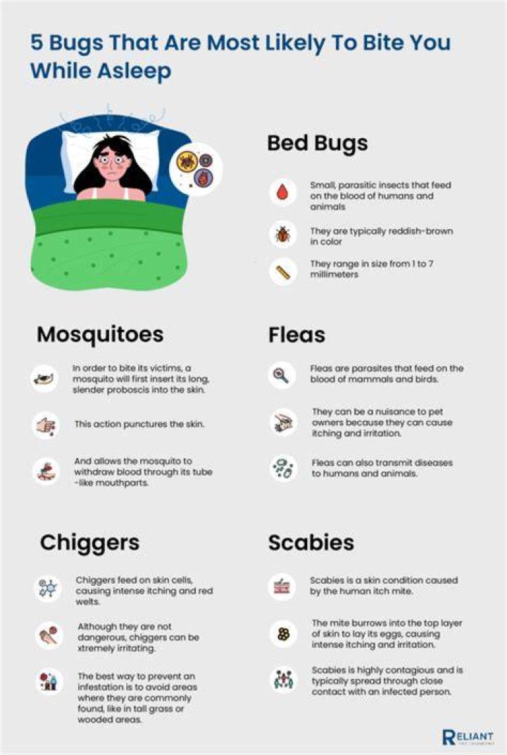 What is biting me at night under my clothes?