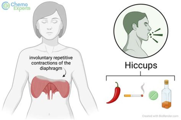 What is hiccups full name?