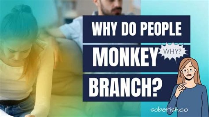 What is Monkey branch?
