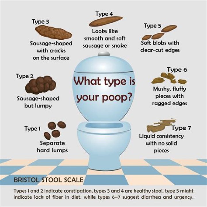 What is poop called before its poop?