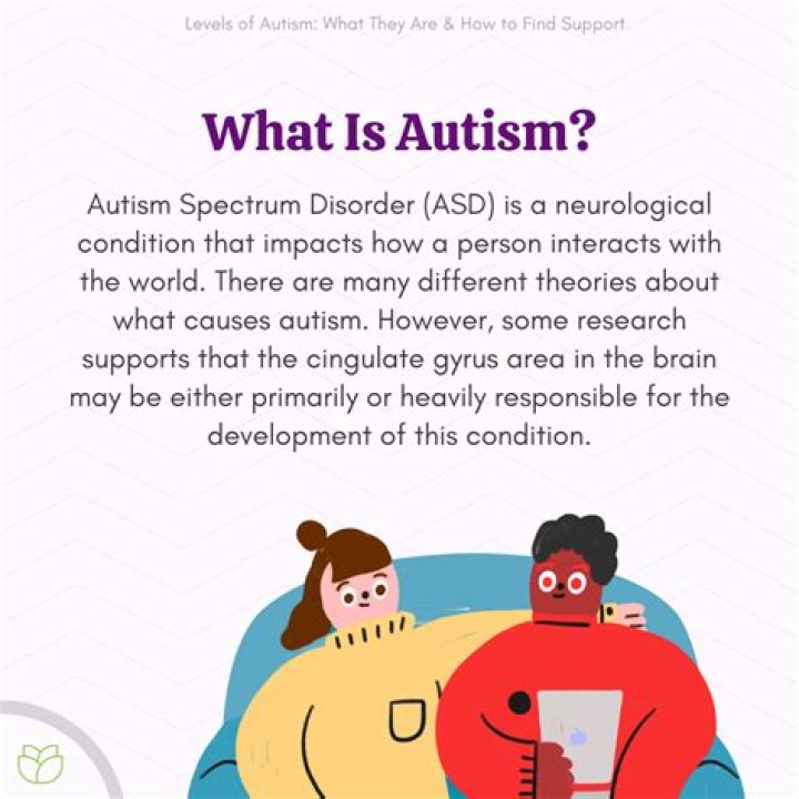 What is rocking in autism?