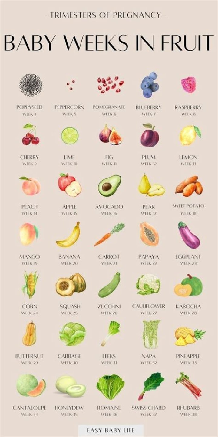 What is the best fruit to start baby on?