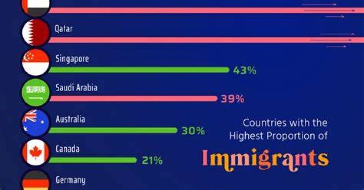 What is the immigrant experience like?