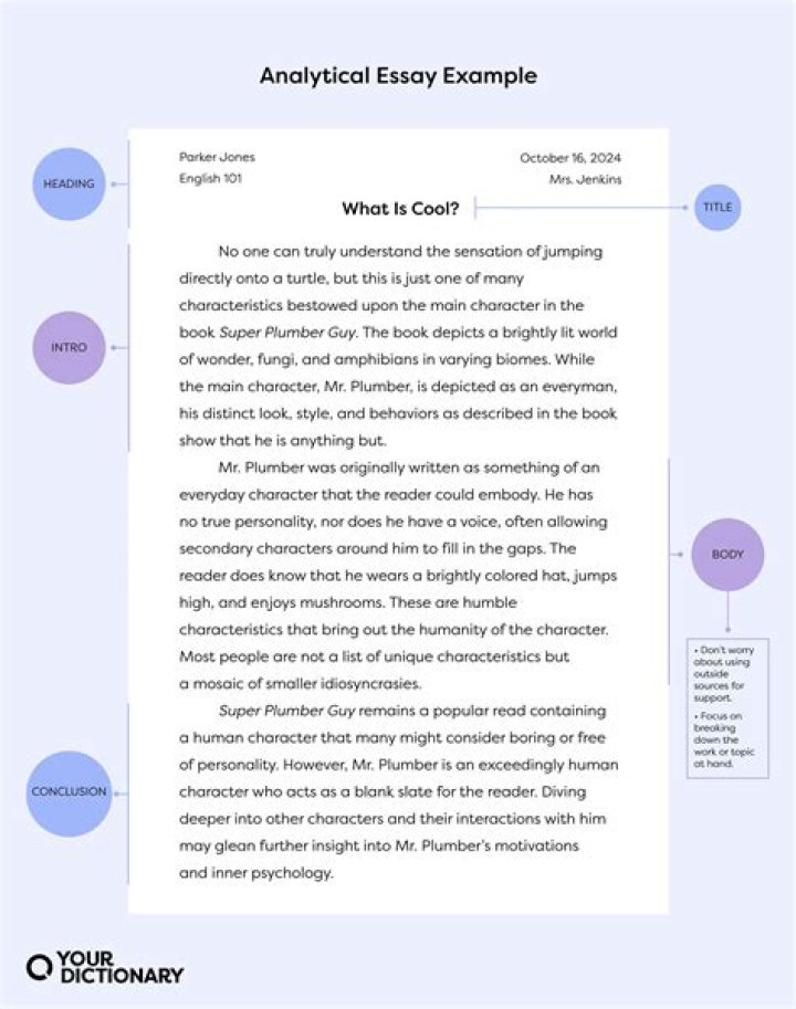 What is the importance of analysis in understanding an author's book essay?