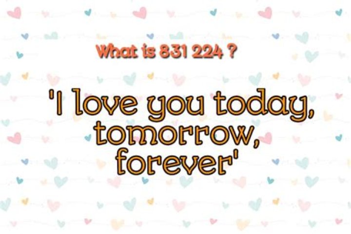 What is the meaning of 831 224?