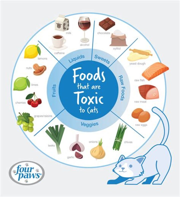 What is toxic to rats?
