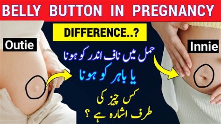 What is your belly button attached to?