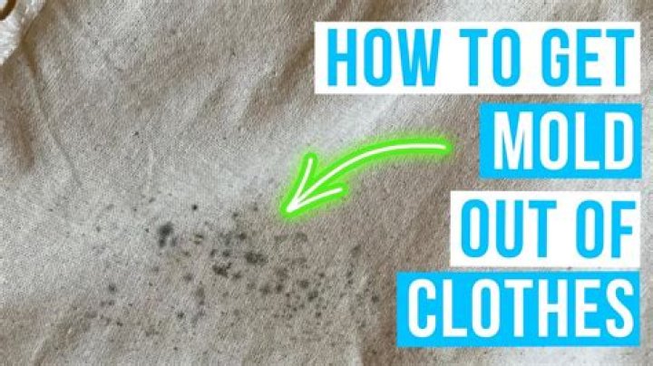 What kills mold on clothes?