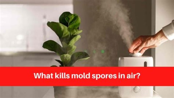 What kills mold spores in air?