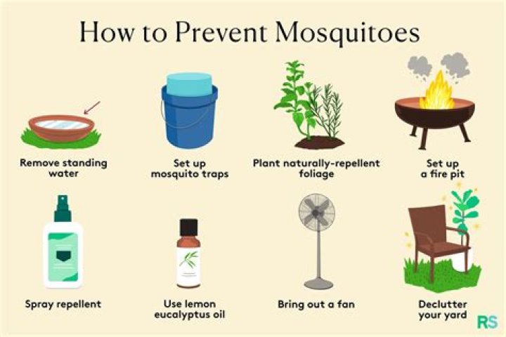 What kills mosquitoes fast?