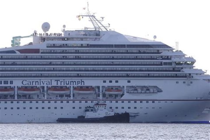 What kind of fuel do cruise ships burn?