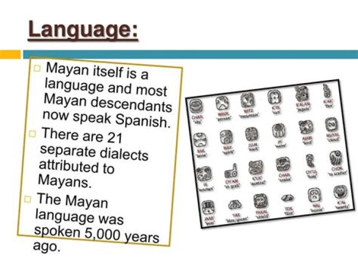 What language did the Mayans speak?