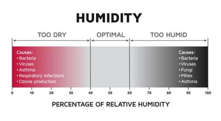 What percentage of houses have mold?