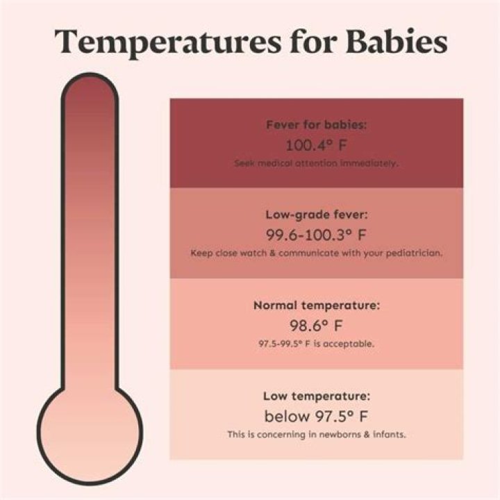 What temperature should a warehouse be?