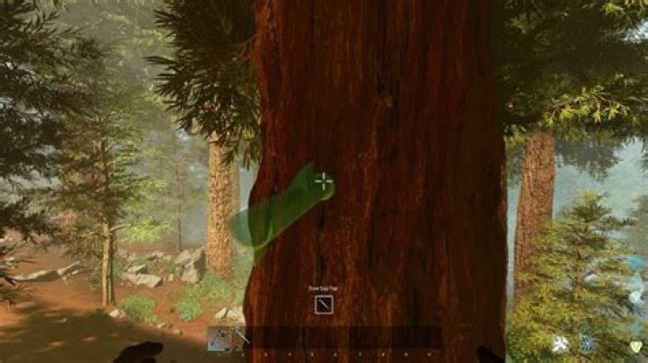 What trees give you SAP ark?