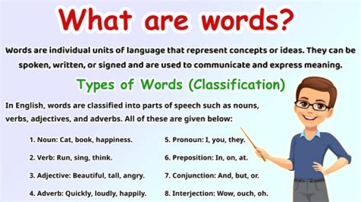 What type of word is paraphernalia?