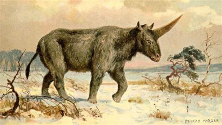When did unicorns go extinct?