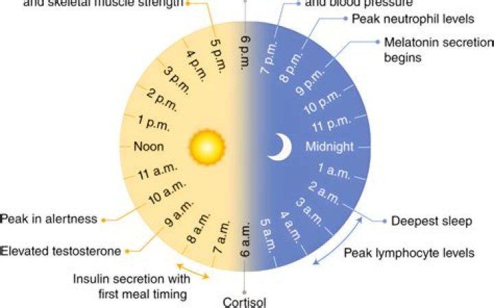 When is prolactin highest at night?