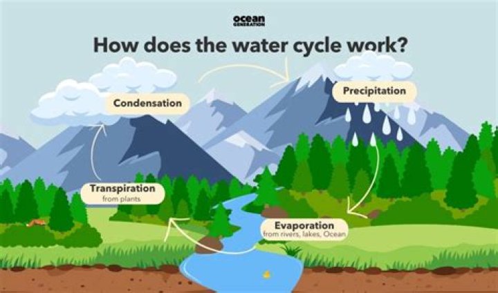 Where does the water cycle end?