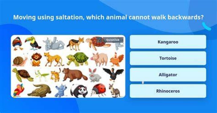 Which animal Cannot walk backwards?