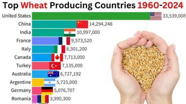 Which country produces the most wheat?