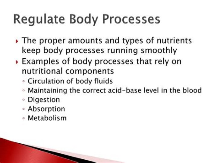 Which nutrients regulate body processes?