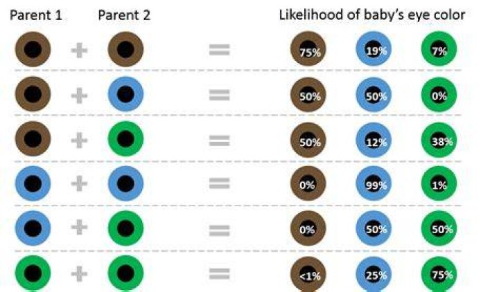 Which parent determines GREY hair?