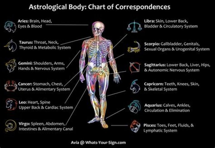 Which part of your body ages the most rapidly?