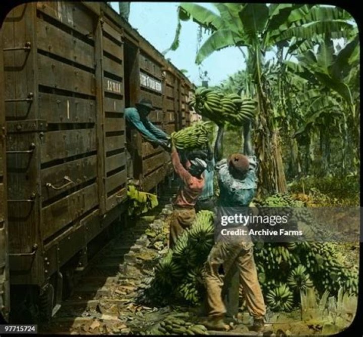 Who brought banana to Jamaica?
