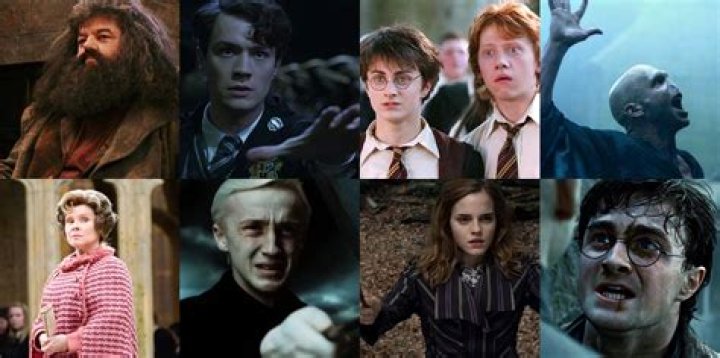 Who is the least liked Harry Potter character?