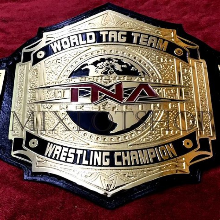 Who is the longest tag team champions?