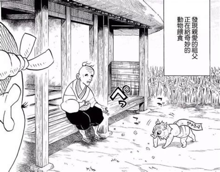 Who raised Inosuke?