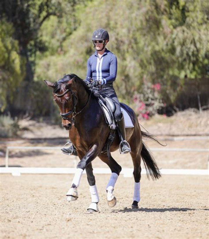 Why are dressage girths shorter?