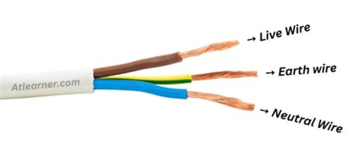Why do I have 2 neutral wires?