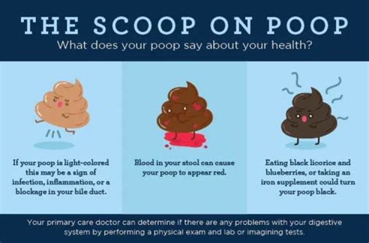 Why do I taste poop?