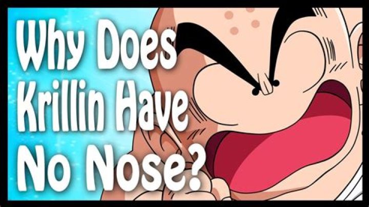 Why does krillin not have a nose?