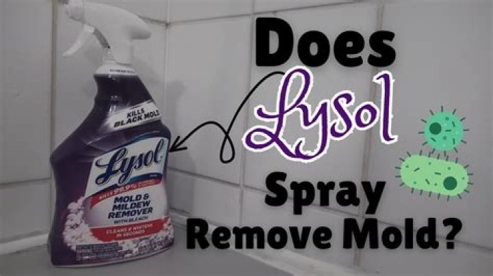 Why you shouldn't use bleach on mold?